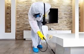 Pest Control Solutions: Effective Methods to Eliminate Pests from Your Home